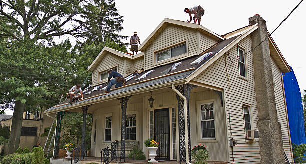 Quick and Trustworthy Emergency Roof Repair Services in Bardmoor, FL
